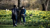 Taman St James berbatasan dengan Istana Buckingham di barat. Taman ini dibuka untuk umum sejak tahun 1603. (REUTERS/Henry Nicholls)