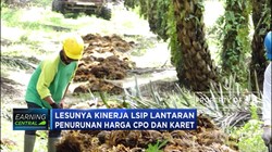 Mendungnya Kinerja Dua Emiten Perkebunan Grup Salim