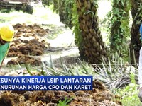Mendungnya Kinerja Dua Emiten Perkebunan Grup Salim