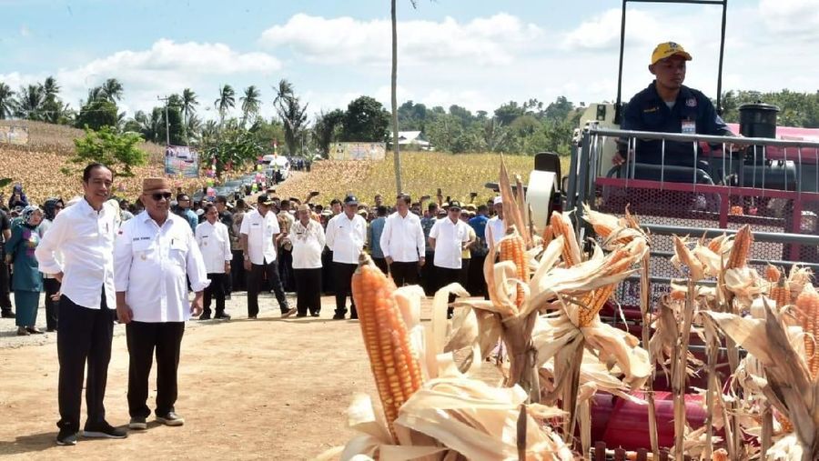 Produksi jagung nasional dalam beberapa tahun terakhir mampu meningkatkan produksinya sehingga bisa menekan impor jagung.