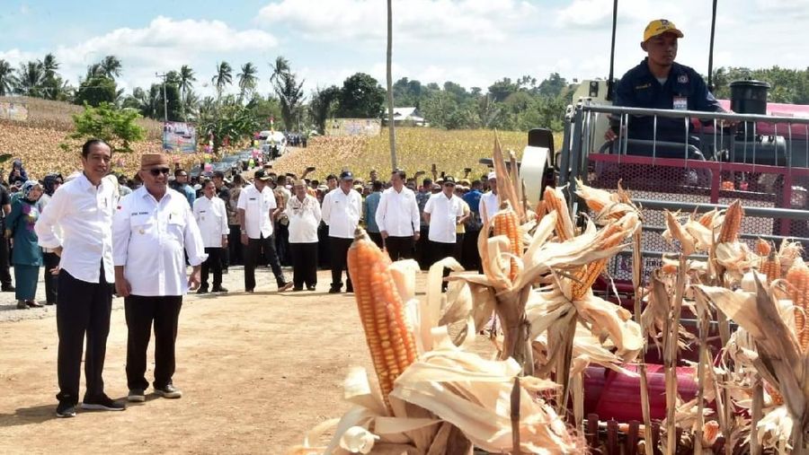 Presiden Joko Widodo (Jokowi) buka suara mengenai keputusan pemerintah melakukan impor jagung