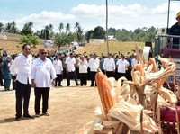 Jokowi Ungkap Penyebab RI Harus Impor Jagung