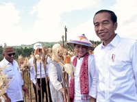 Siap-Siap! Jokowi akan Umumkan Lokasi Pasti Ibu Kota Baru