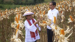 Jokowi Puji Perempuan dalam Pendidikan dan Ekonomi Keluarga