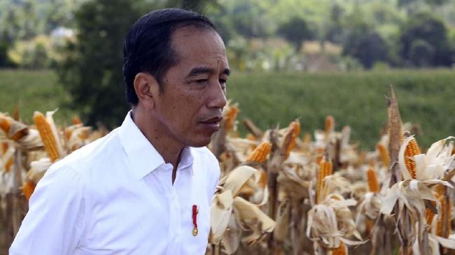 Jokowi: Saya Akan Cuti Total Jika Peraturan Mengharuskan