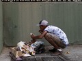 FOTO : Mengais Sampah Untuk Bertahan Hidup di Venezuela