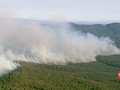 VIDEO: Gelombang Panas Sebabkan Kebakaran Hutan di Australia
