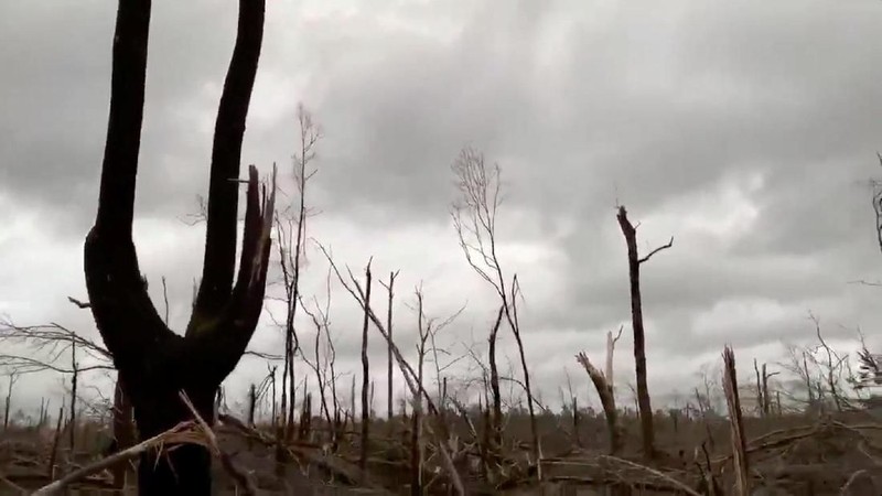 Cuaca buruk yang berdampak tornado hebat melanda Lee Country, Alabama, sebanyak 23 orang tewas.