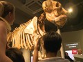 VIDEO: Myanmar Buka Museum Gajah