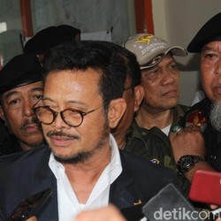 Mentan Ngaku PSBB & Impor Biang Kerok Defisit Stok Pangan