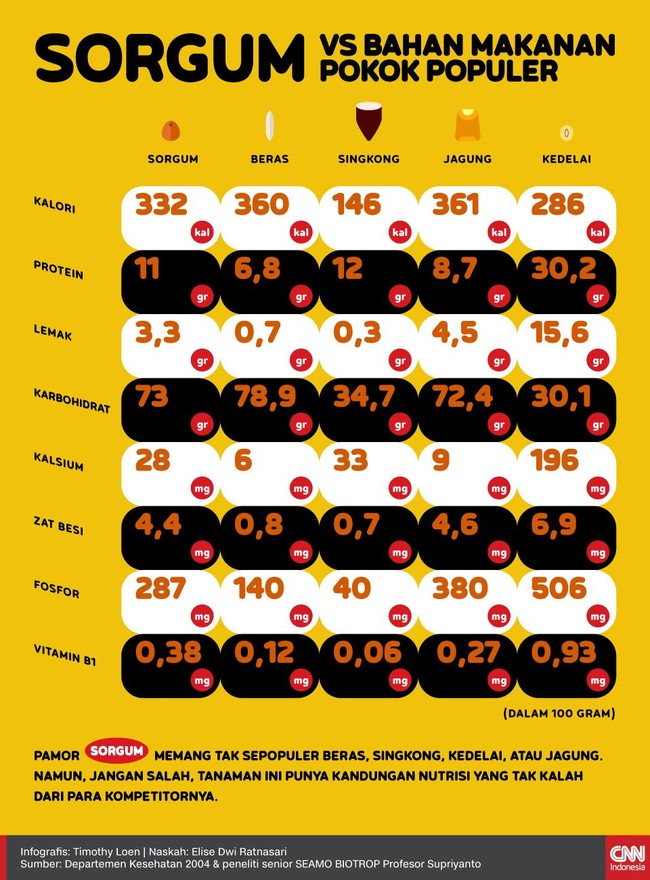 INFOGRAFIS: Sorgum vs Bahan Makanan Pokok Populer