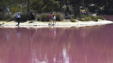 Fenomena berubahnya warna Danau Westgate Park ini juga disebabkan oleh naiknya suhu udara di sekitar karawannya. (AFP/William West)