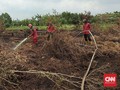 2,2 Juta Liter Air Dipakai untuk Water Bombing Karhutla Riau
