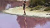 Berubahnya warna Danau Westgate Park menarik perhatian warga dan turis di Melbourne. Mereka datang untuk berfoto dengan latar belakang danau yang berwarna merah muda itu. (AFP/William West)