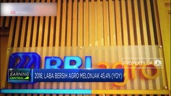 Kinerja BRI Agroniaga Melonjak di Tahun 2019
