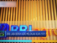 Kinerja BRI Agroniaga Melonjak di Tahun 2019