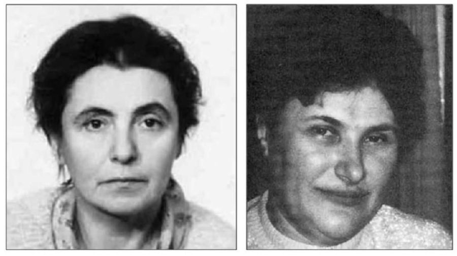 Masuk Google Doodle Hari Perempuan Sedunia, Siapa Olga Ladyzhenskaya?