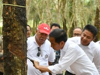 Harga Karet Loyo, Ini Permintaan RI kepada Thailand-Malaysia