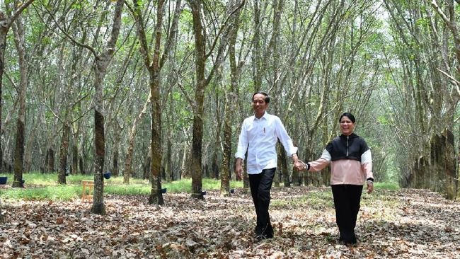 Romantisme 'Winter Sonata' ala Jokowi-Iriana di Kebun Karet