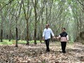 Romantisme 'Winter Sonata' ala Jokowi-Iriana di Kebun Karet