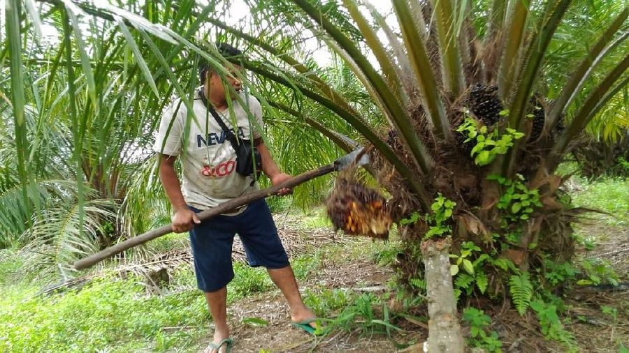 Tujuannya agar generasi muda atau kaum millenial mau kembali aktif 'bertani', khususnya di bidang teknologi pertanian (agrotech).