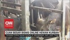 Cuan Bisnis Online Hewan Kurban