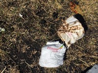 WNI yang Jadi Korban Ethiopian Airlines Merupakan Staf PBB