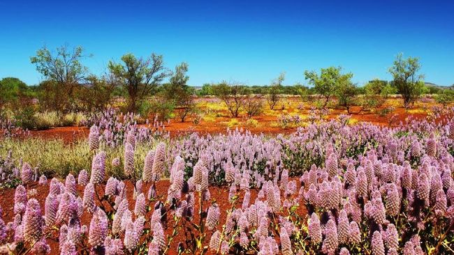 Jadwal Berwisata Alam di Australia Barat