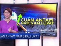 Ini Dia Ulik Lonjakan Cuan Antam di 2018