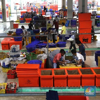 Bukan di Tokyo, Ini Wajah Pasar Ikan Higienis Muara Baru