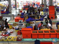 Bukan di Tokyo, Ini Wajah Pasar Ikan Higienis Muara Baru
