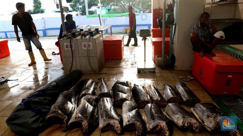 Pasar Ikan Muara baru merupakan terobosan baru one stop shopping yang menawarkan pasar bersih, nyaman, tidak becek, dan tidak bau.