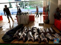 Startup eFhisery Pemberi Pakan Ikan Dari Bandung ke Barcelona