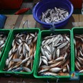 Inflasi Diramal Cuma 0,01%, Daya Beli Rakyat Lesu?