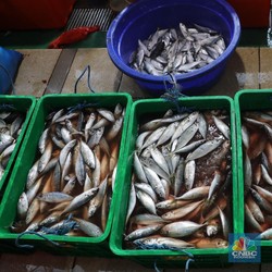 Inflasi Diramal Cuma 0,01%, Daya Beli Rakyat Lesu?