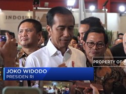 Pemerintah Resmi "Kandangkan" Boeing Max 8