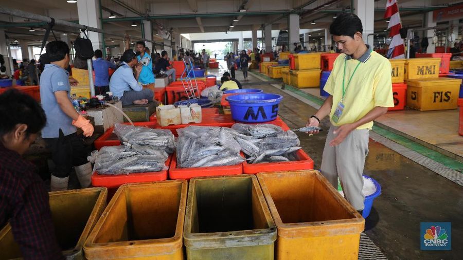 Aktivitas bisnis di Pasar Ikan Muara Baru diklaim berjalan normal meski Jakarta dan sekitarnya sudah ada kasus positif corona.