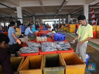 BUMN Ini Klaim Pasar Ikan Muara Baru 'Kebal' Corona