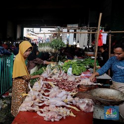 Disebut Murah, Apa Kabar Harga Daging Ayam di Pasar?