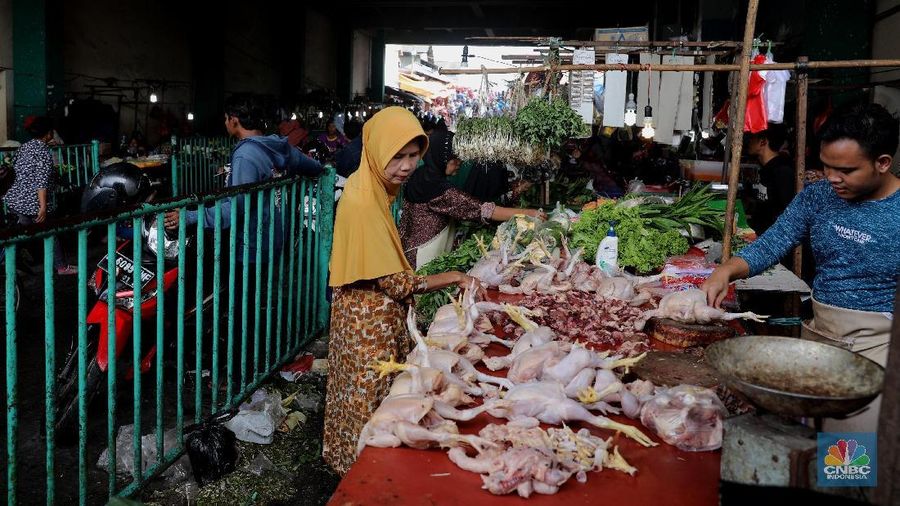 Saham PT Japfa Comfeed Tbk (JPFA) pagi ini kebakaran.