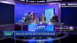 Emiten Sawit Tertekan Kebijakan Komisi Uni Eropa