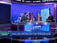 Emiten Sawit Tertekan Kebijakan Komisi Uni Eropa