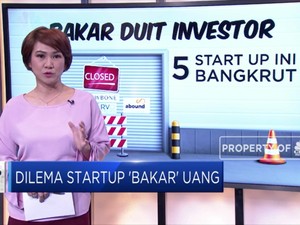 Dilema Startup 'Bakar' Uang
