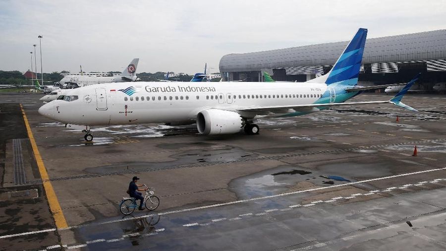 Penghentian terbang ini menunggu selesainya investigasi penyebab insiden jatuhnya Boeing 737 MAX 8 milik Ethiopian Airlines.