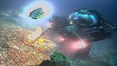 Namun, perayaan kesuksesan siaran tersebut tak berlangsung lama akibat kabel putus secara misterius yang menyebabkan ROV jatuh ke dasar laut. Padahal ROV adalah peralatan pengambil gambar yang penting yang bisa mengeksplorasi lebih dalam dari kapal selam berawak. (Nekton via AP)