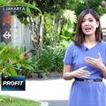 Sstt! Nilai Pasar Bioplastik Mencapai USD 65,6 Miliar