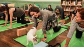 Tinggal di Brooklyn, datanglah ke Brooklyn Cat Cafe di hari Sabtu. Ini saatnya Caturday. (REUTERS/Jeenah Moon)