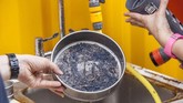 Para peneliti berhasil mengumpulkan zooplankton dari hasil pengetesan pertama mereka di Alphonse, Seychelles, (AP Photo/Steve Barker)
