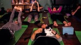 Kucing di kafe ini banyak diadopsi dari tempat penampungan, dibuang oleh pemilik, dan diselamatkan dari jalanan di Brooklyn. (REUTERS/Jeenah Moon)