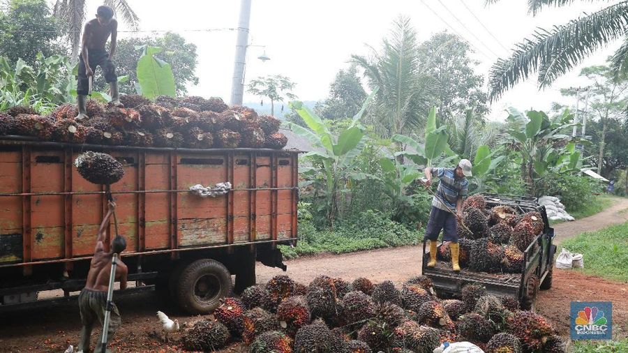 kenaikan harga tersebut didorong oleh ekspektasi peningkatan permintaan seiring dengan penerapan campuran biodiesel di Indonesia dan Malaysia.